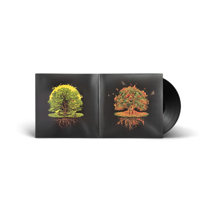 PHASEONE - TERRANOVA VINYL RECORD
